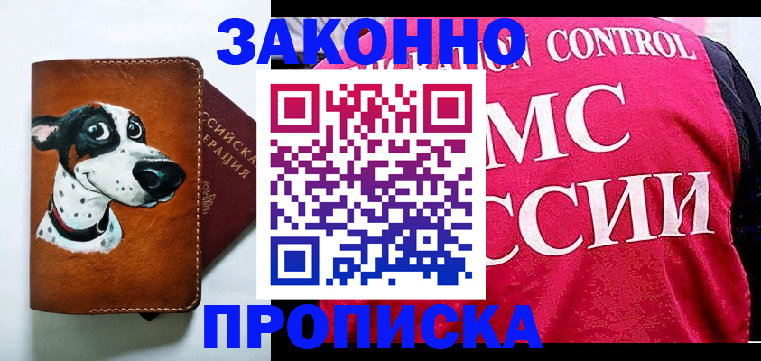 прописка 2025 в Елабуге